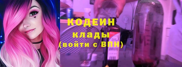 прущие грибы Ладушкин