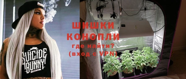 индика Лиски