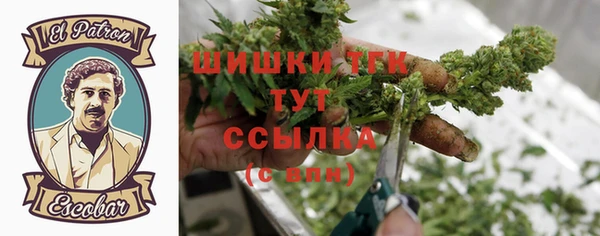 индика Лиски