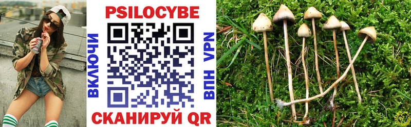 Псилоцибиновые грибы Psilocybine cubensis  цена наркотик  Медынь 