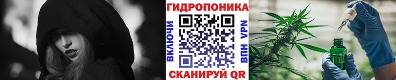 купить закладку  Медынь  Бошки марихуана гибрид 